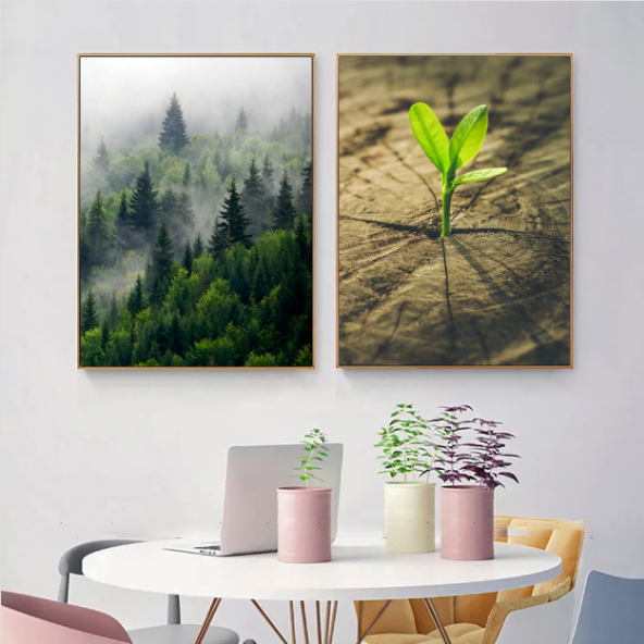 TRANH CANVAS: RỪNG VÀ CHỒI - DC25