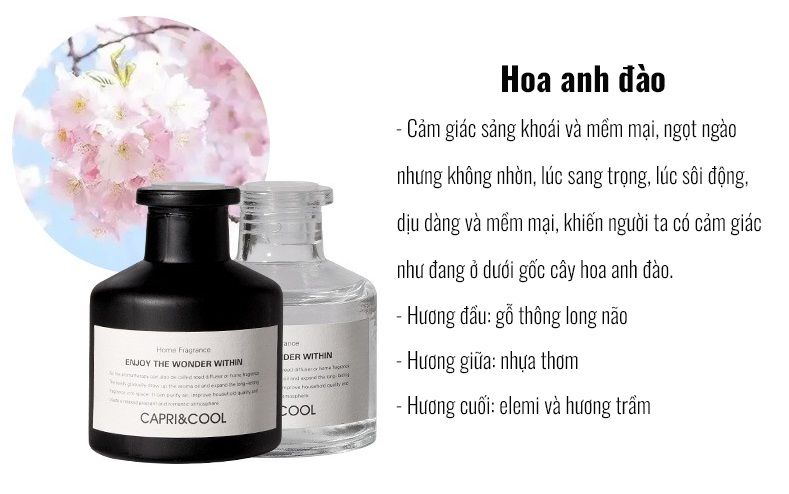 LỌ TINH DẦU KHUẾCH TÁN