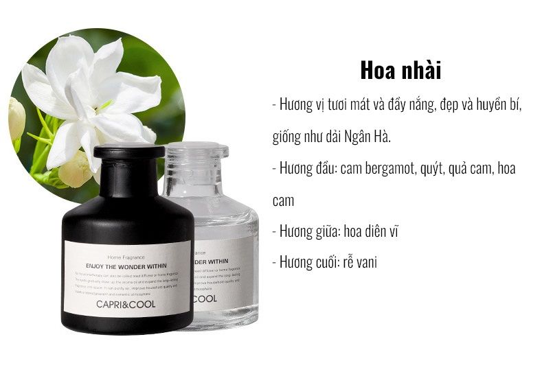 LỌ TINH DẦU KHUẾCH TÁN