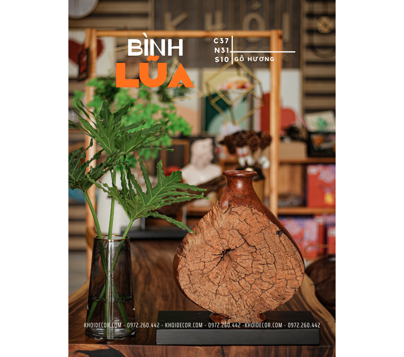 BÌNH LŨA HƯƠNG - C37