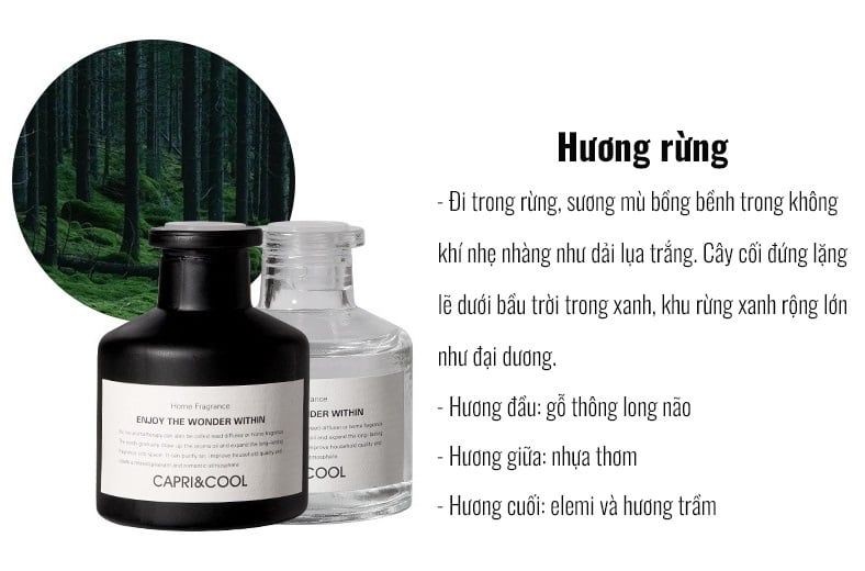 LỌ TINH DẦU KHUẾCH TÁN