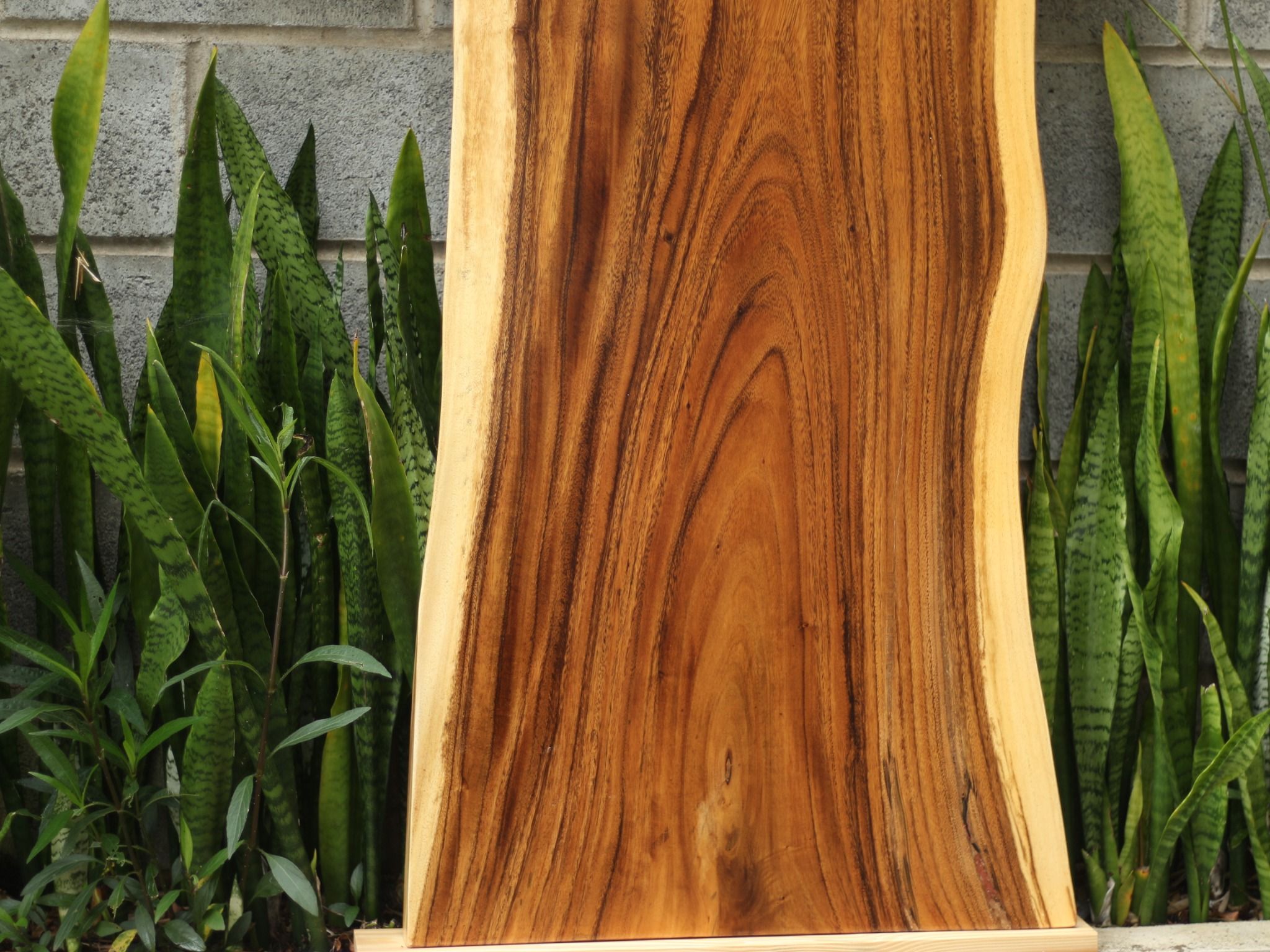 BÀN GỖ ME TÂY 140 x 64-55,5-59 x 5 cm