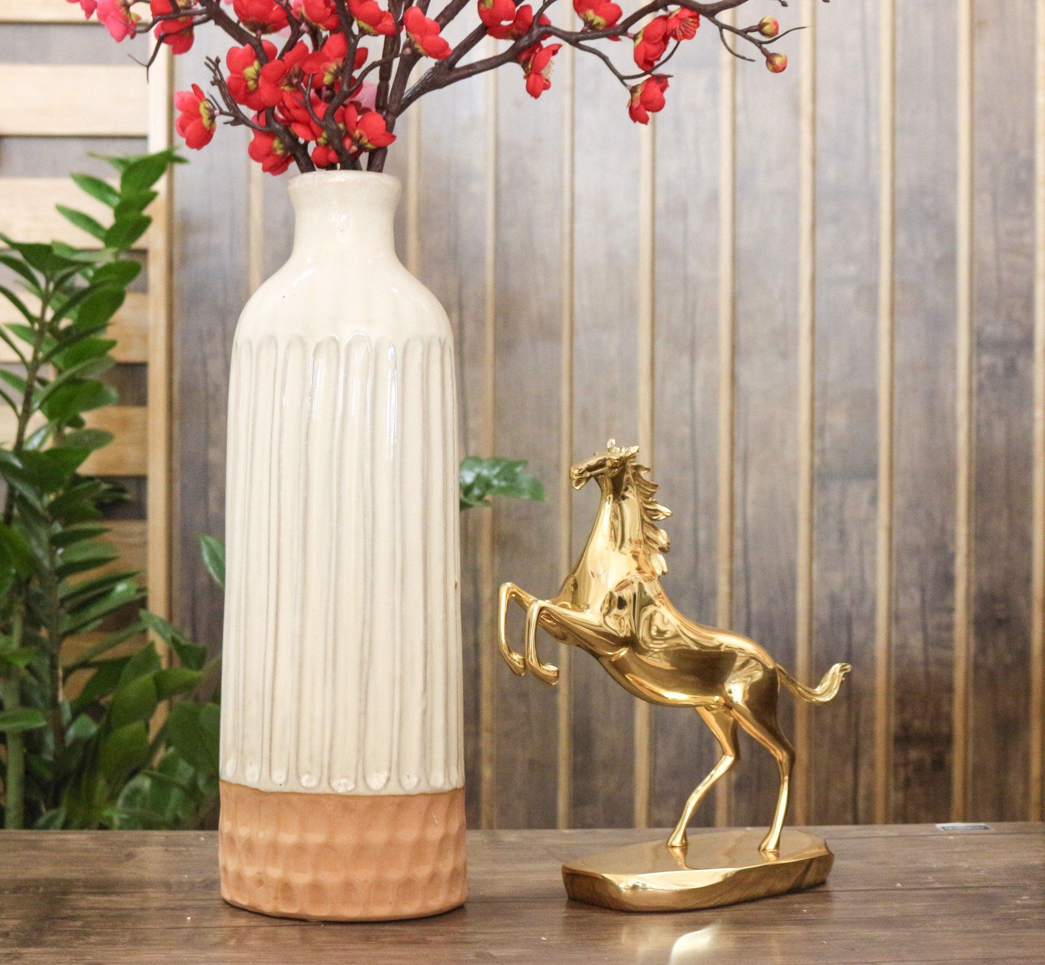 BÌNH SỌC ĐẾ CAM