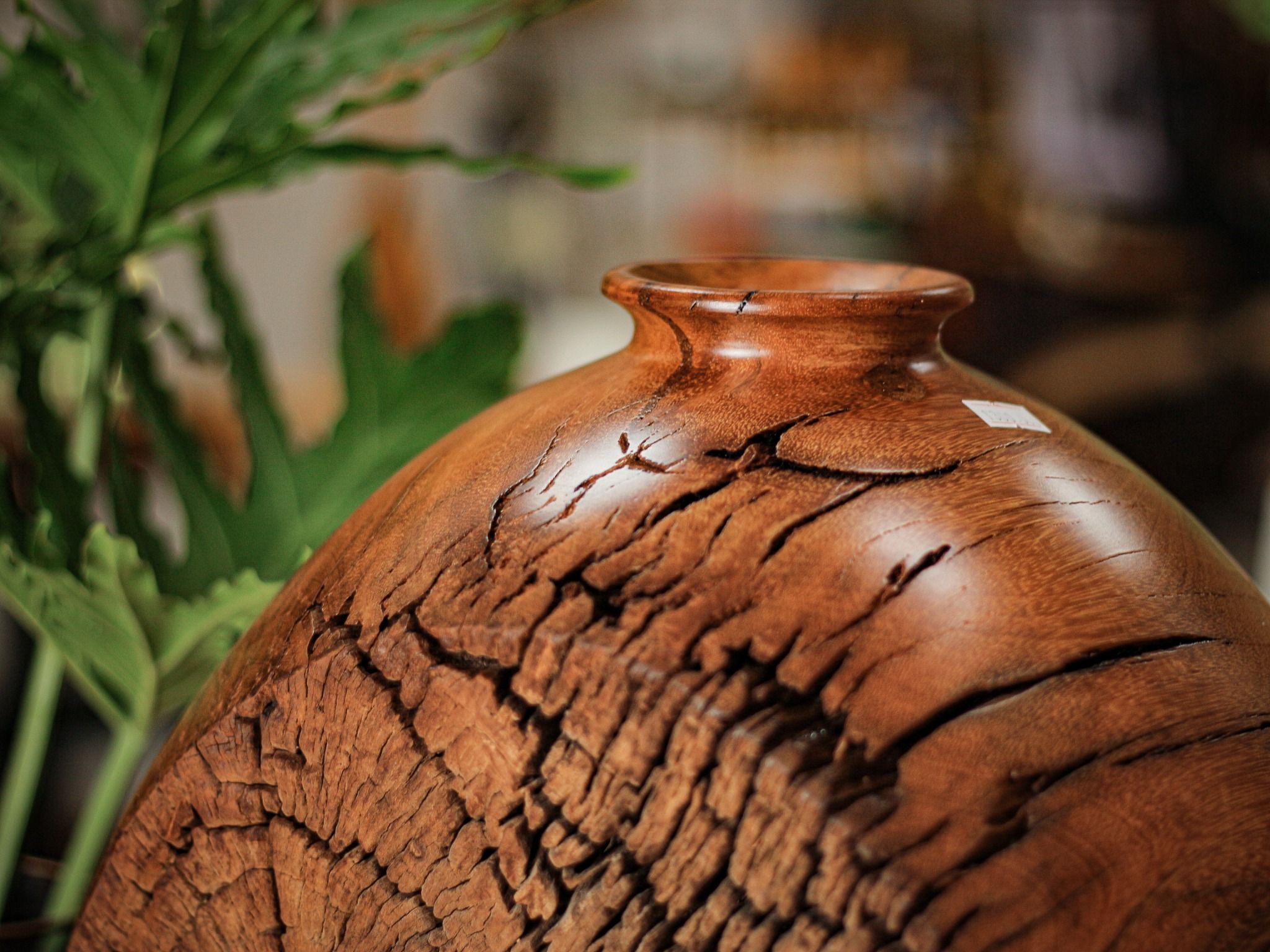 BÌNH GỖ LŨA DECOR - C48