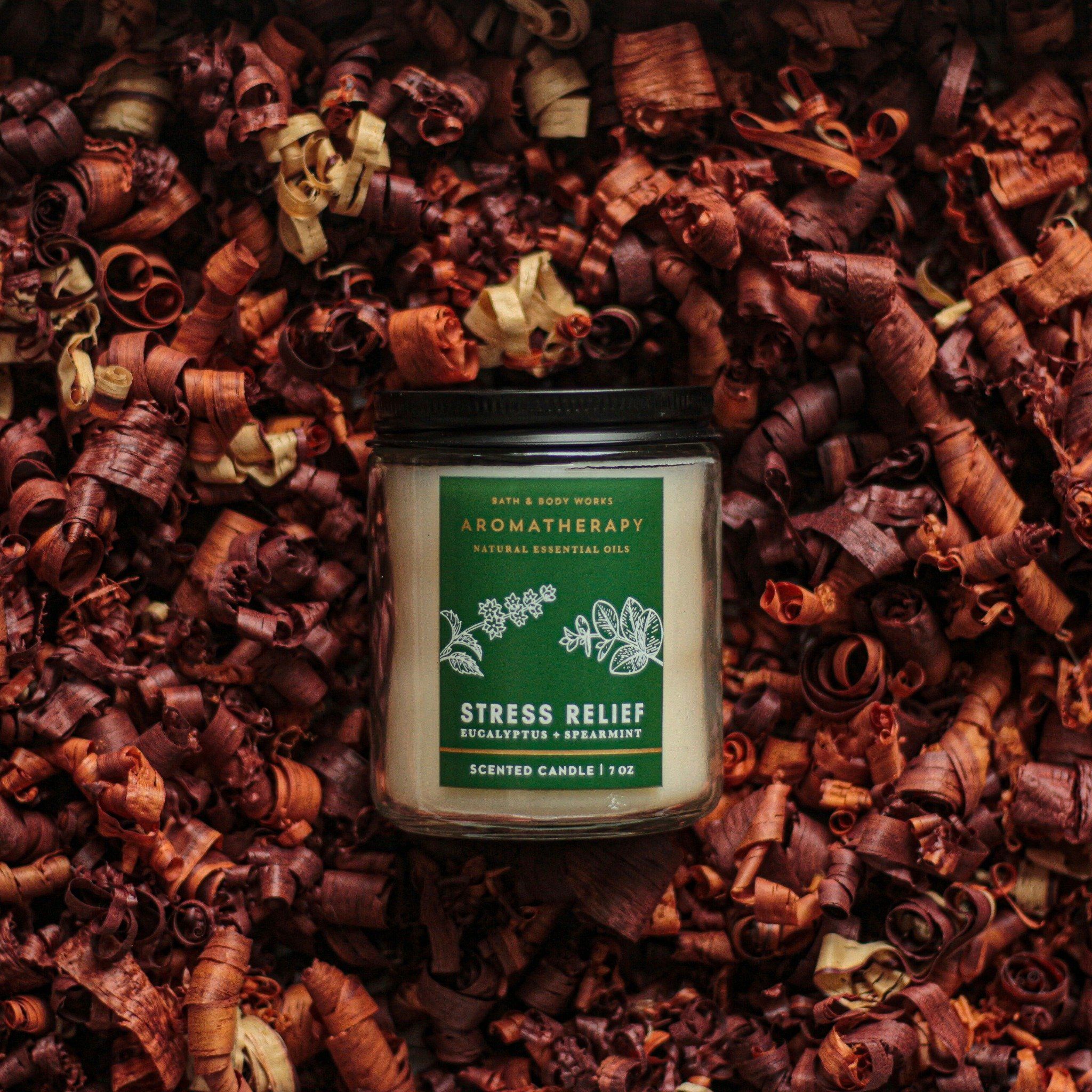 NẾN BBW: EUCALYPTUS SPEARMINT