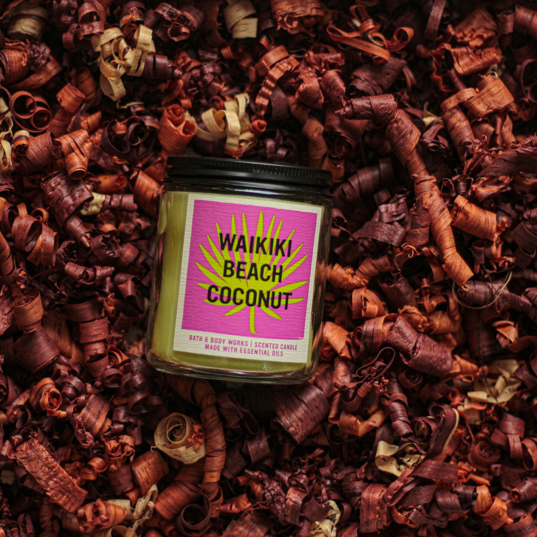 NẾN BBW: WAIKIKI BEACH COCONUT