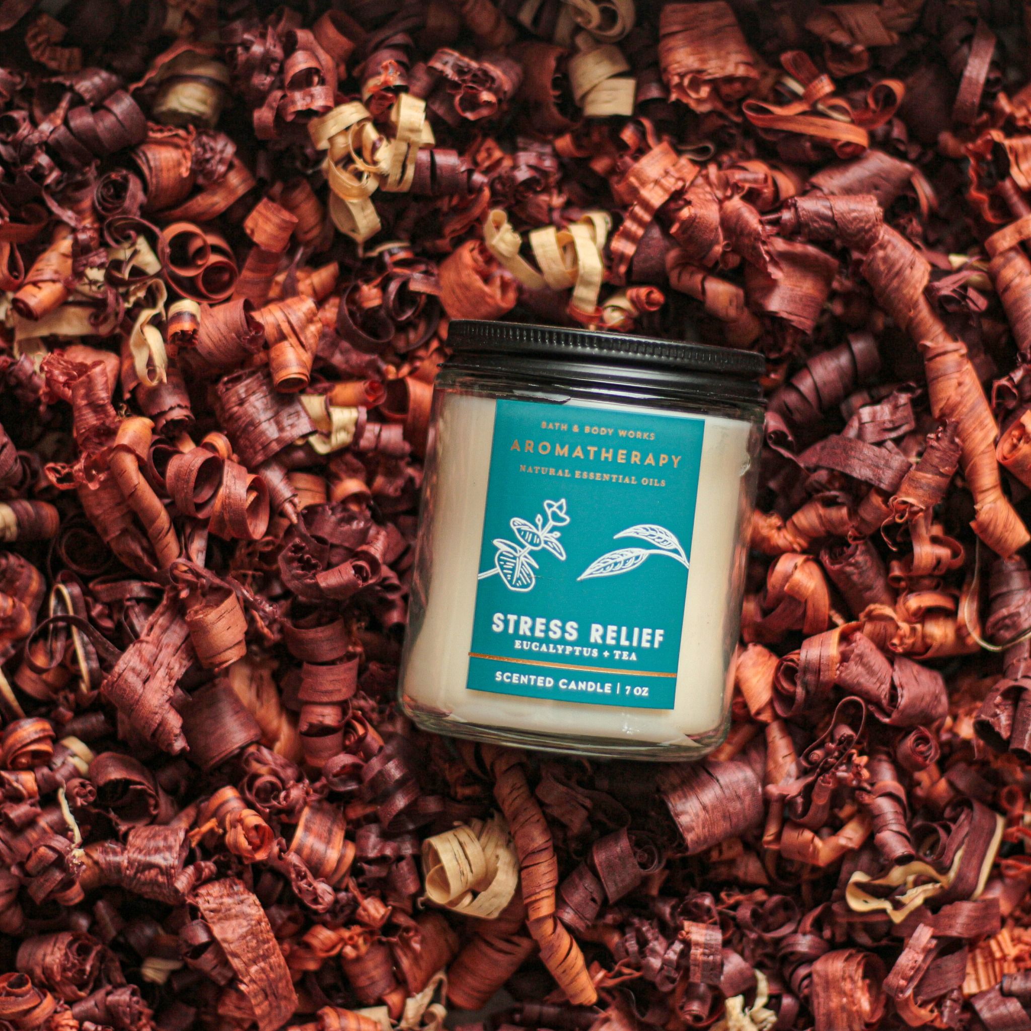 NẾN BBW: EUCALYPTUS TEA