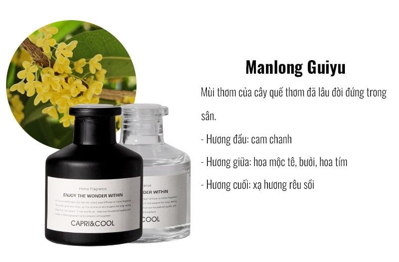 LỌ TINH DẦU KHUẾCH TÁN