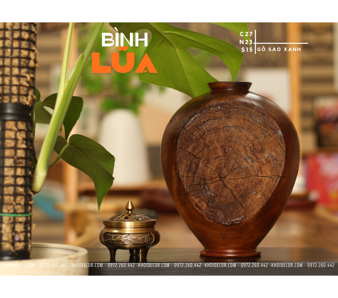 BÌNH LŨA SAO XANH - C27