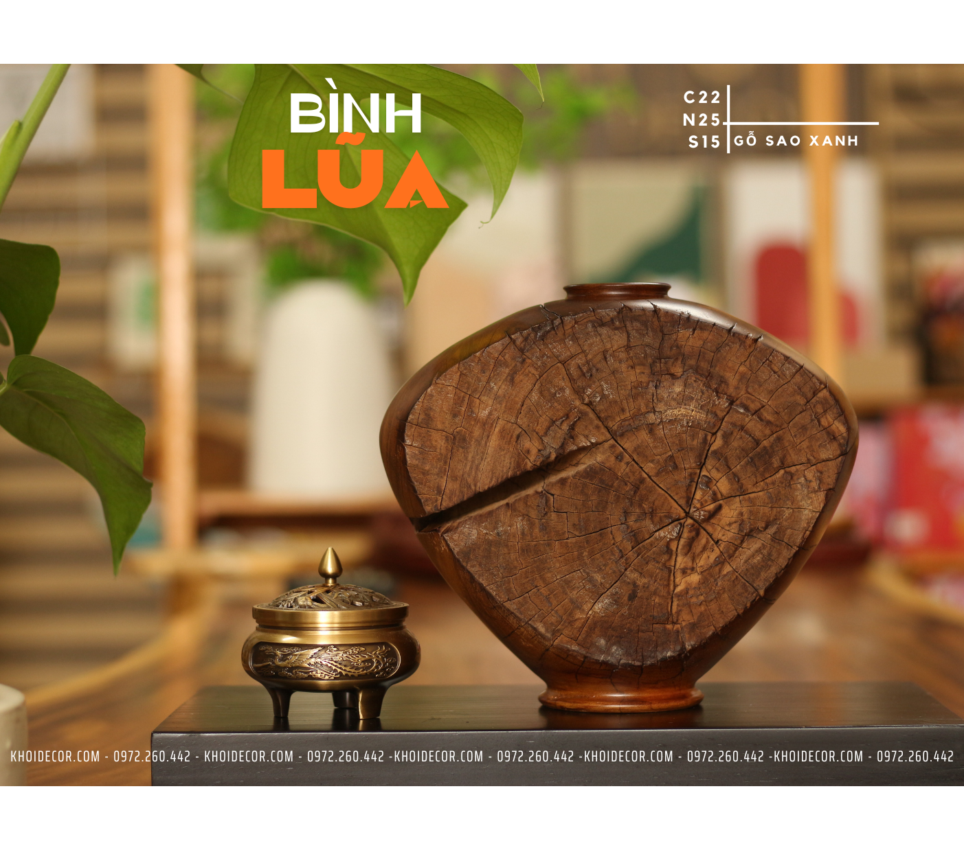 BÌNH LŨA SAO XANH - C22