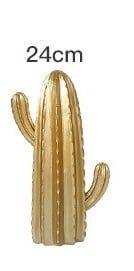 MÔ HÌNH XƯƠNG RỒNG