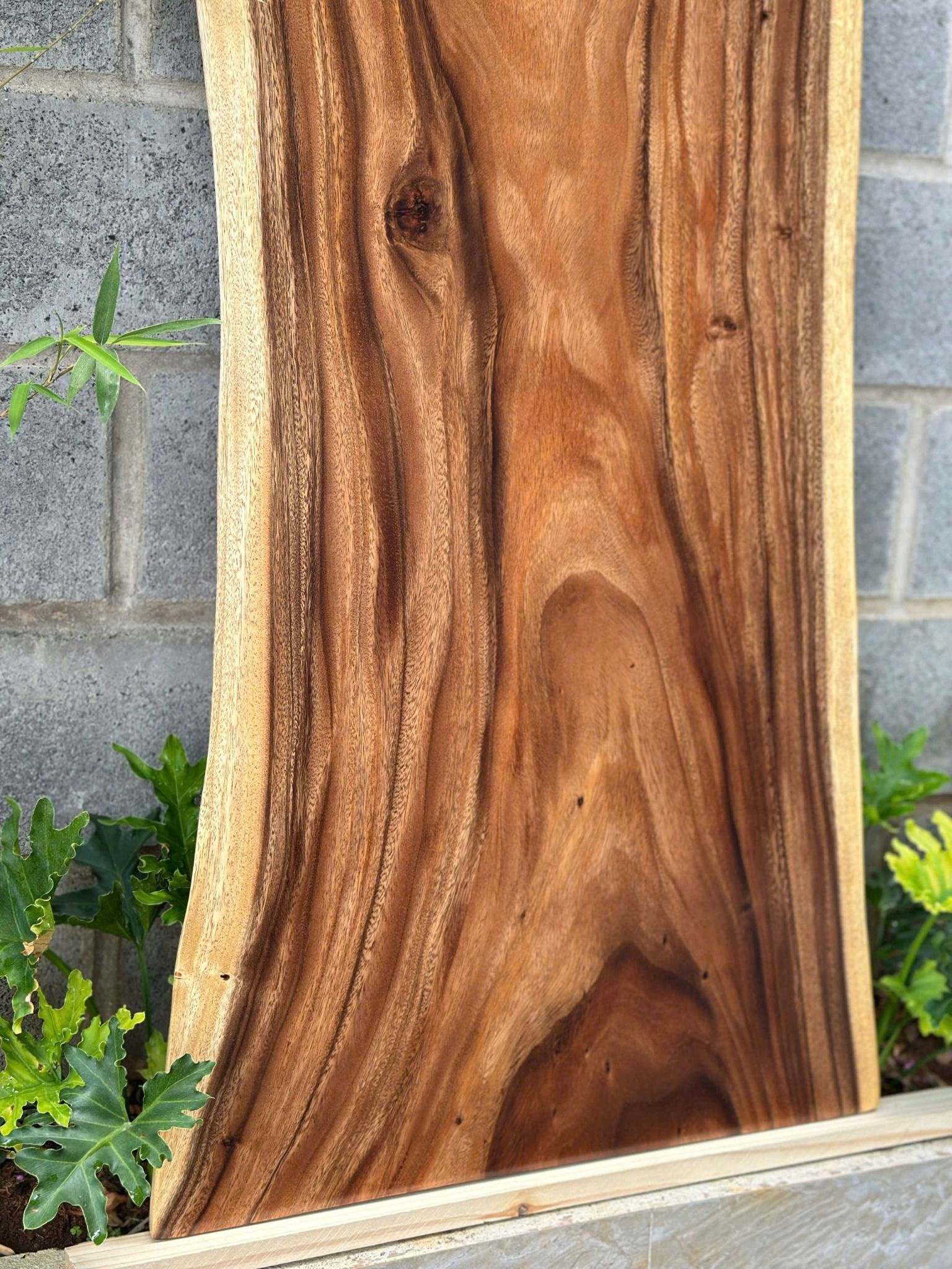 BÀN GỖ ME TÂY 140 x 62-56-66 x 3 cm