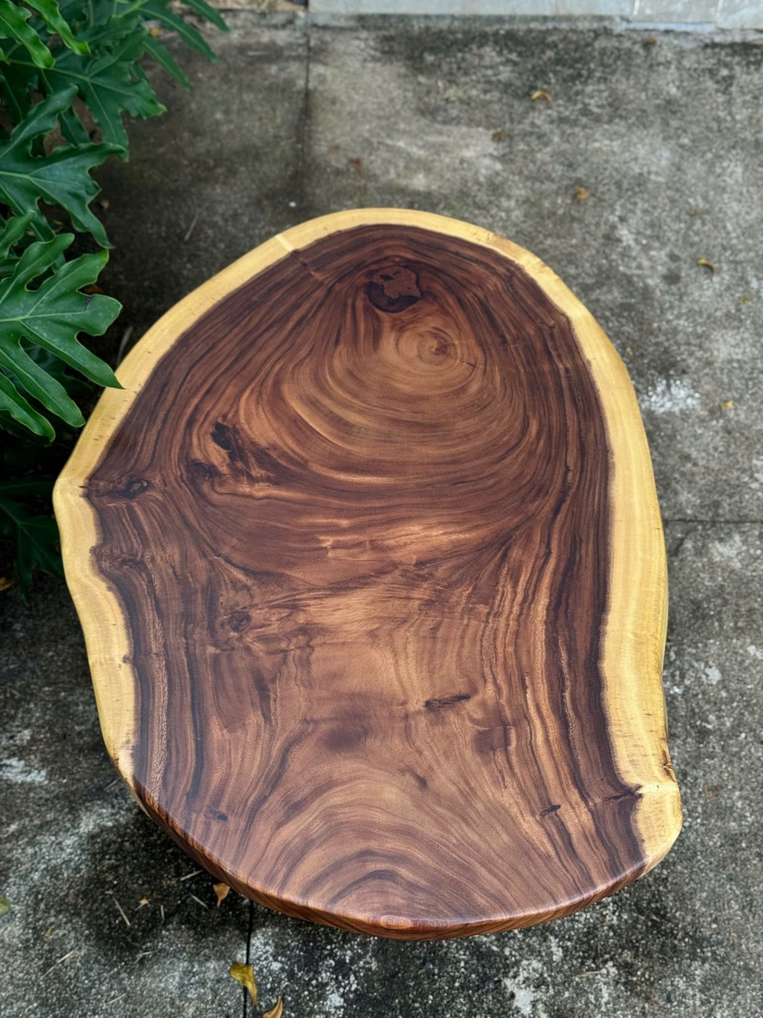 BÀN GỖ ME TÂY 89 x 65 x 5 cm