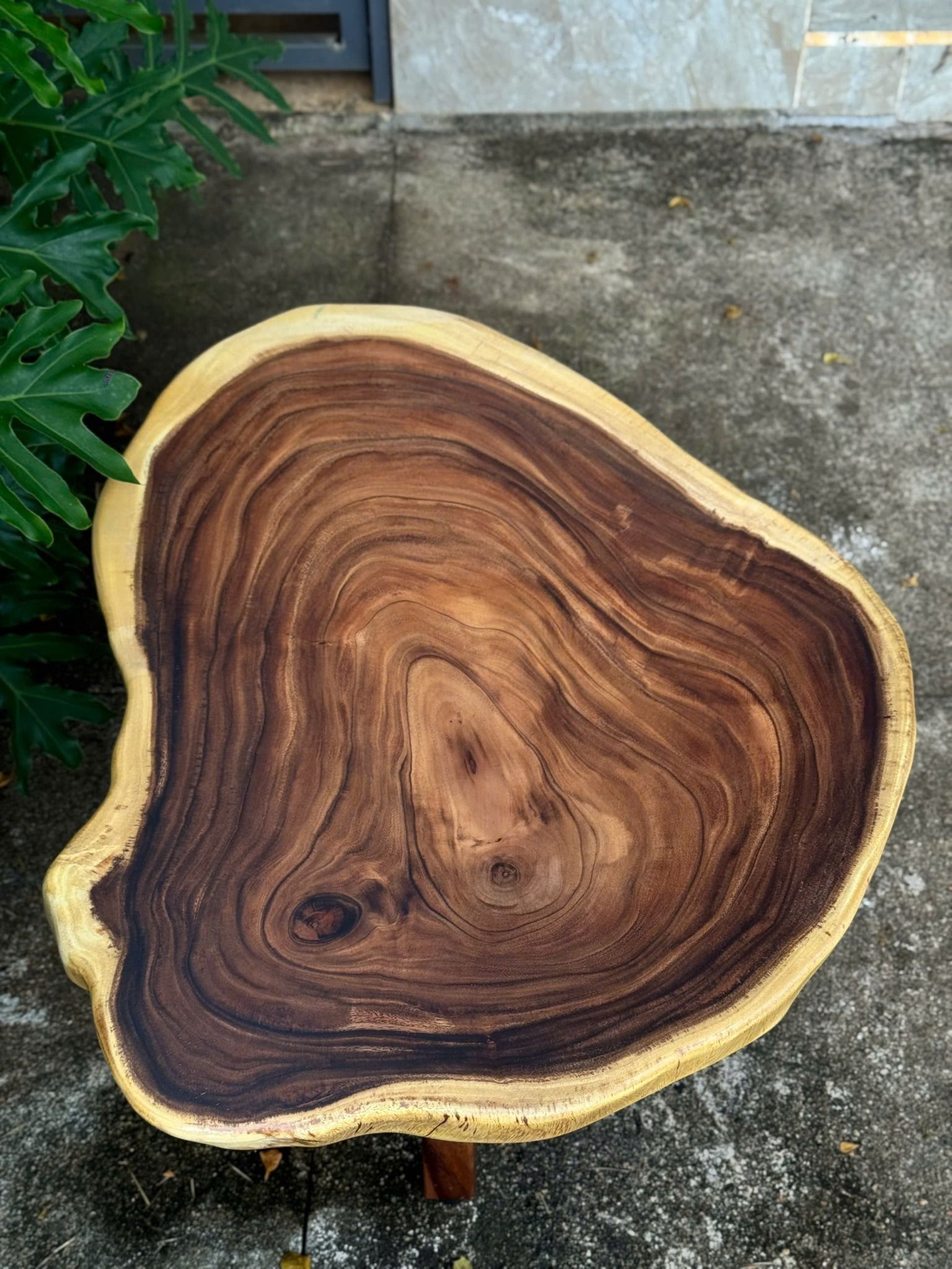 BÀN GỖ ME TÂY 88 x 71 x 5 cm