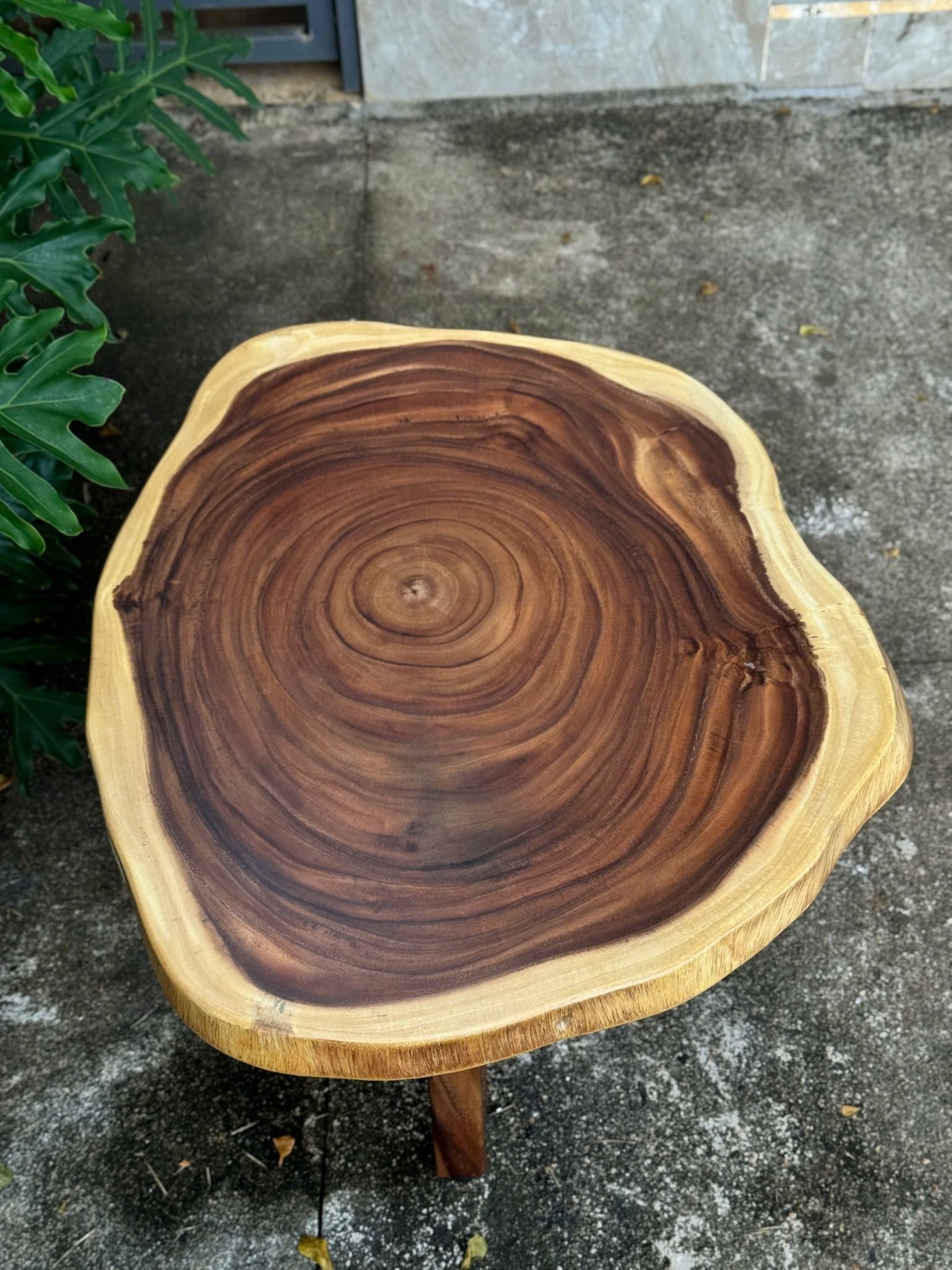 BÀN GỖ ME TÂY 78 x 76 x 5 cm