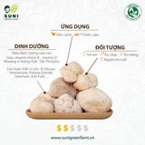  Nấm Hầu Thủ 