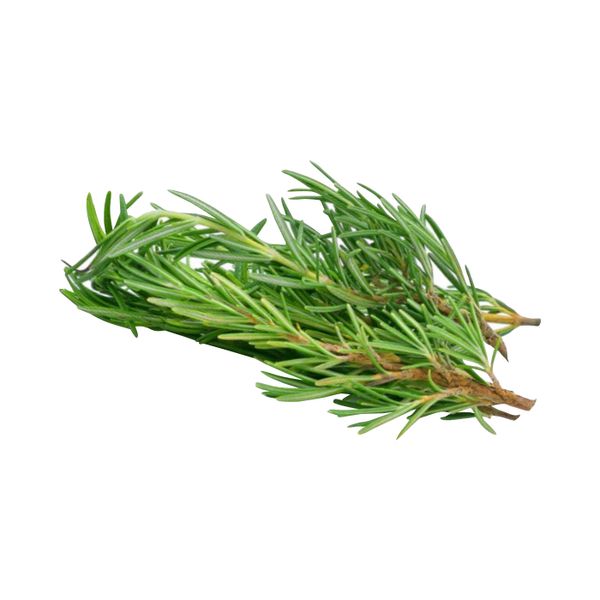 Hương thảo