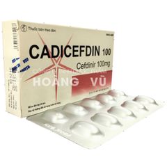 CADICEFDIN 100 (T/136H/20V)