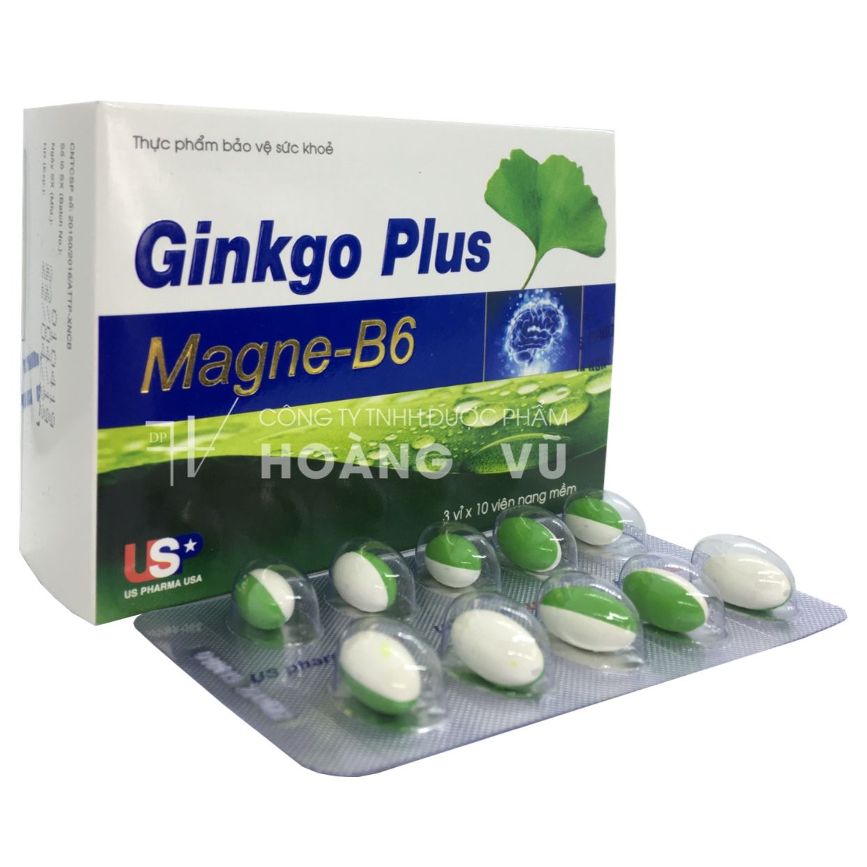 GINKGO PLUS MAGNE-B6 (T/105H/30V)