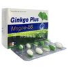 GINKGO PLUS MAGNE-B6 (T/105H/30V)