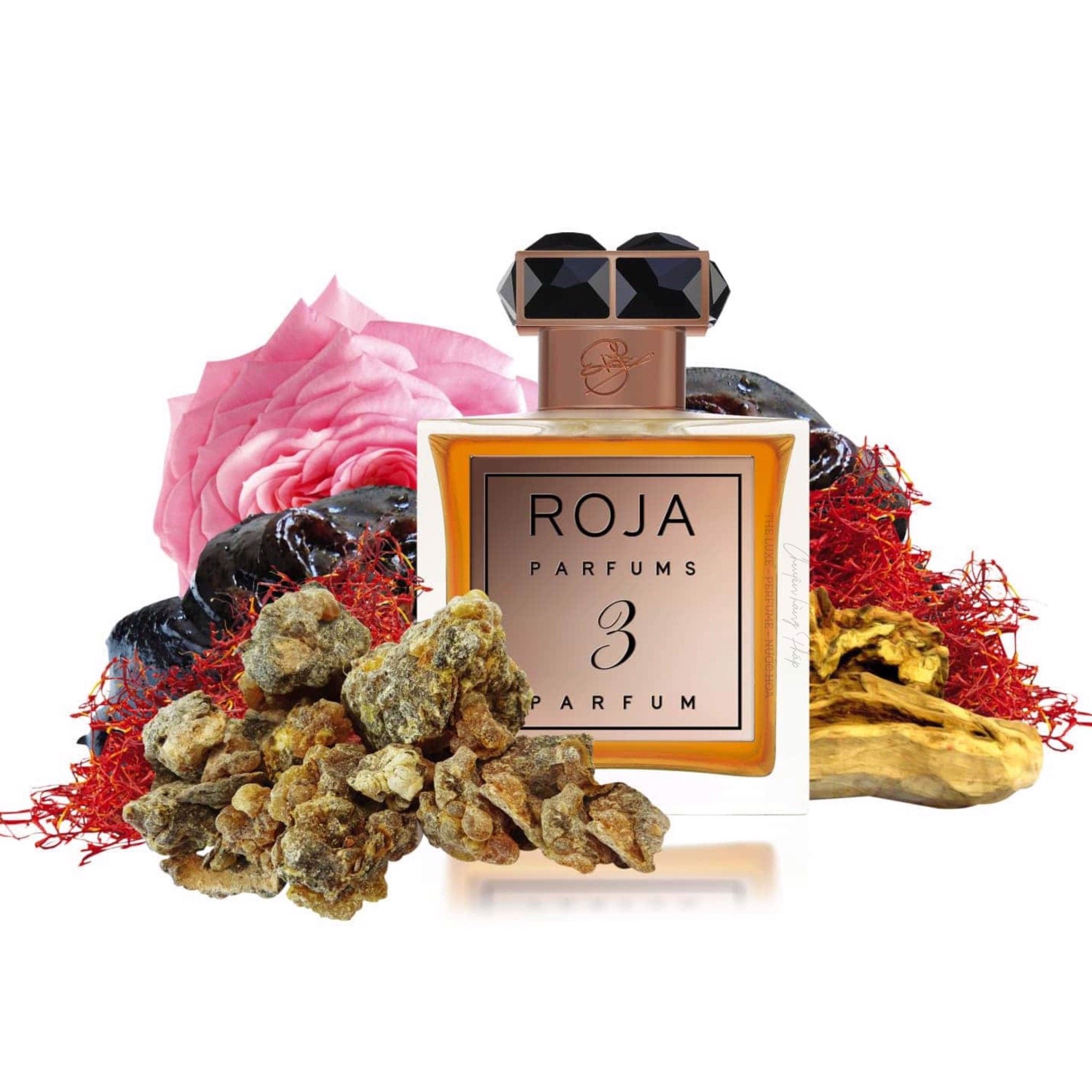 Nước Hoa Roja De La Nuit No3