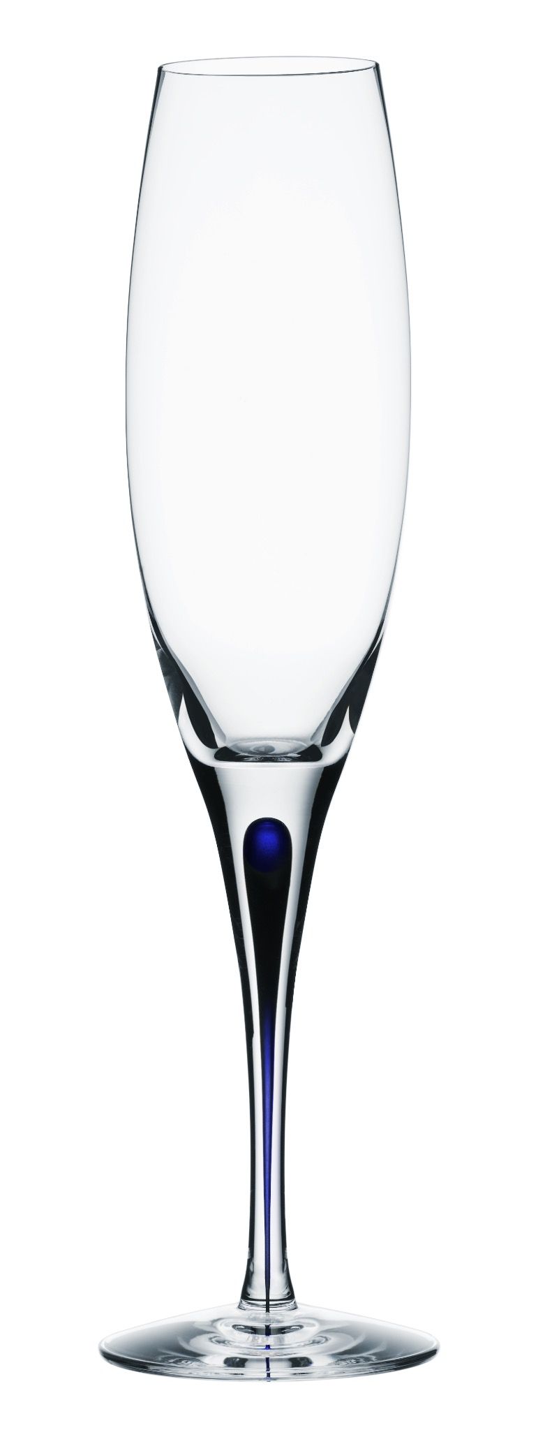 Ly champagne Intermezzo Blue
