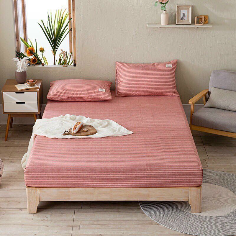COTTON BASIC NEW KO CHĂN - TNKC12