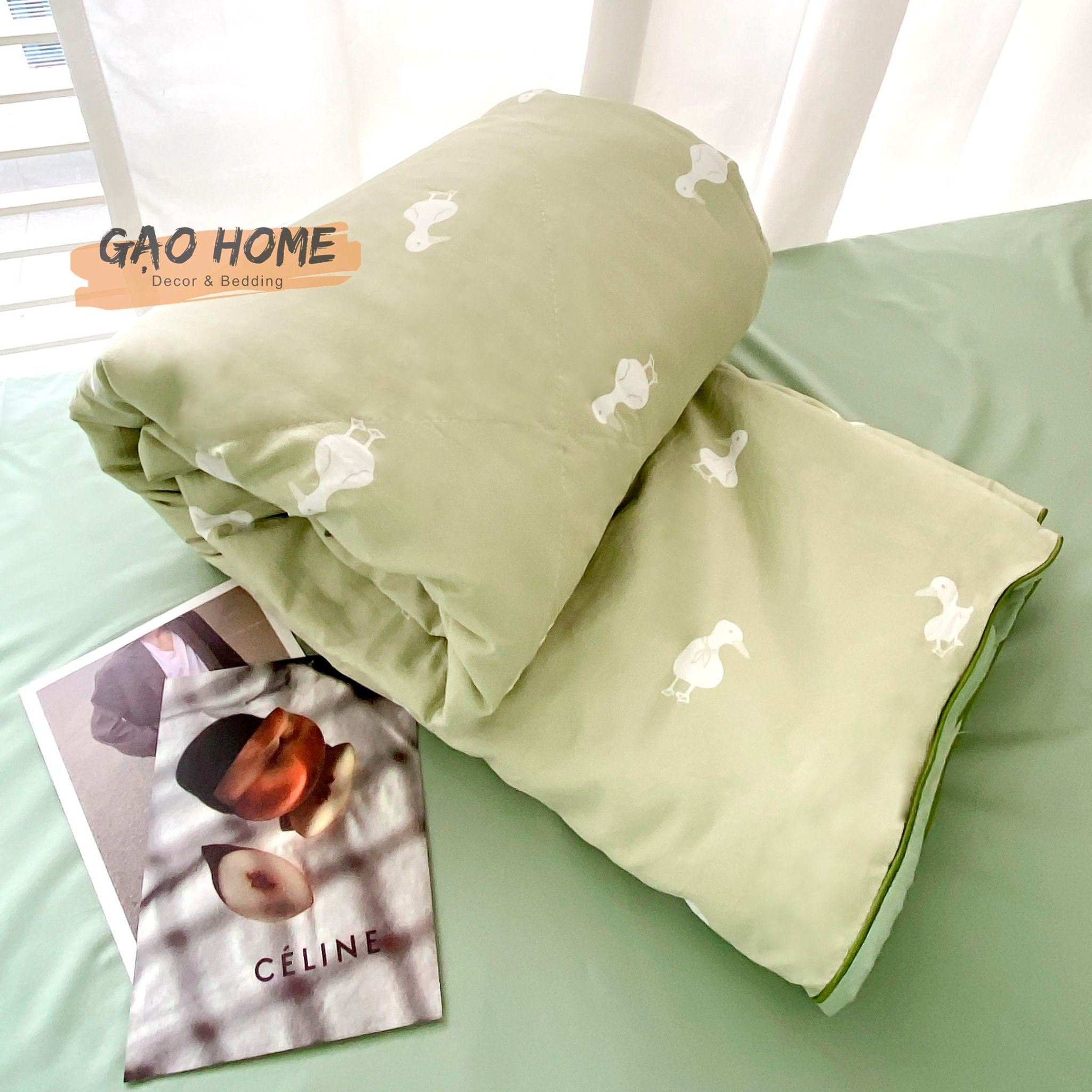 Cotton MỊN - BASIC CMB09