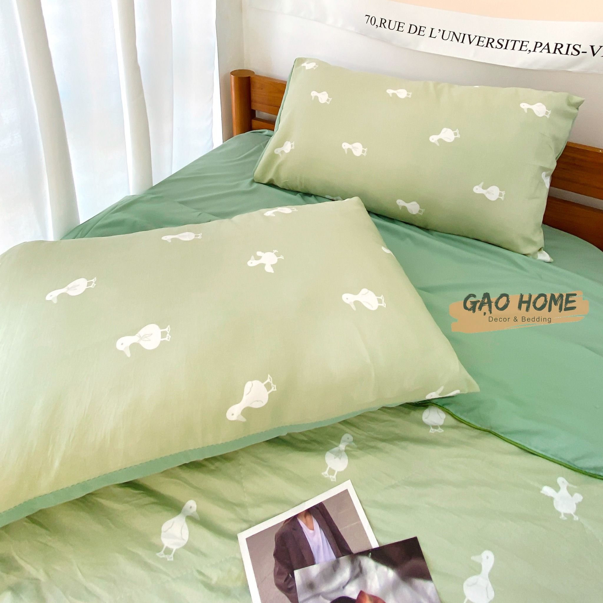 Cotton MỊN - BASIC CMB09