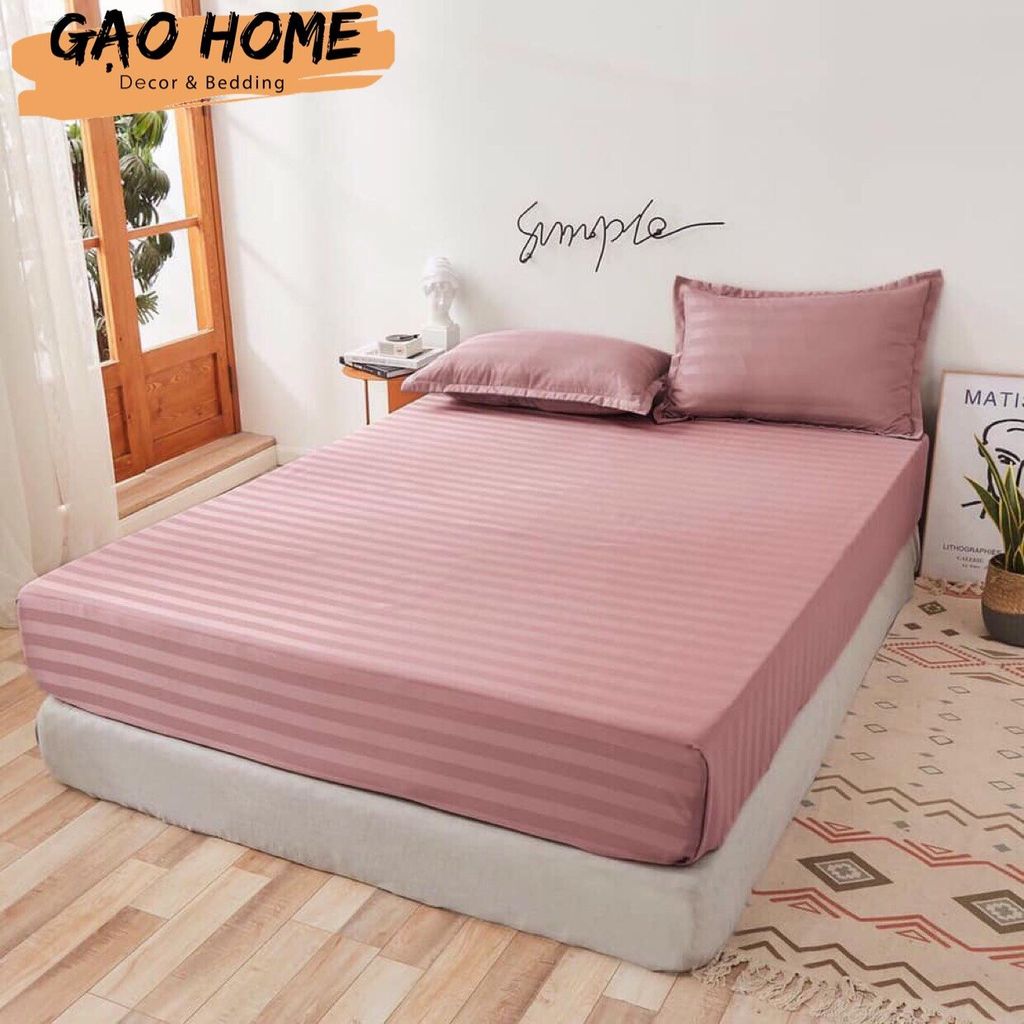 Cotton Kẻ 3F KO CHĂN - F06