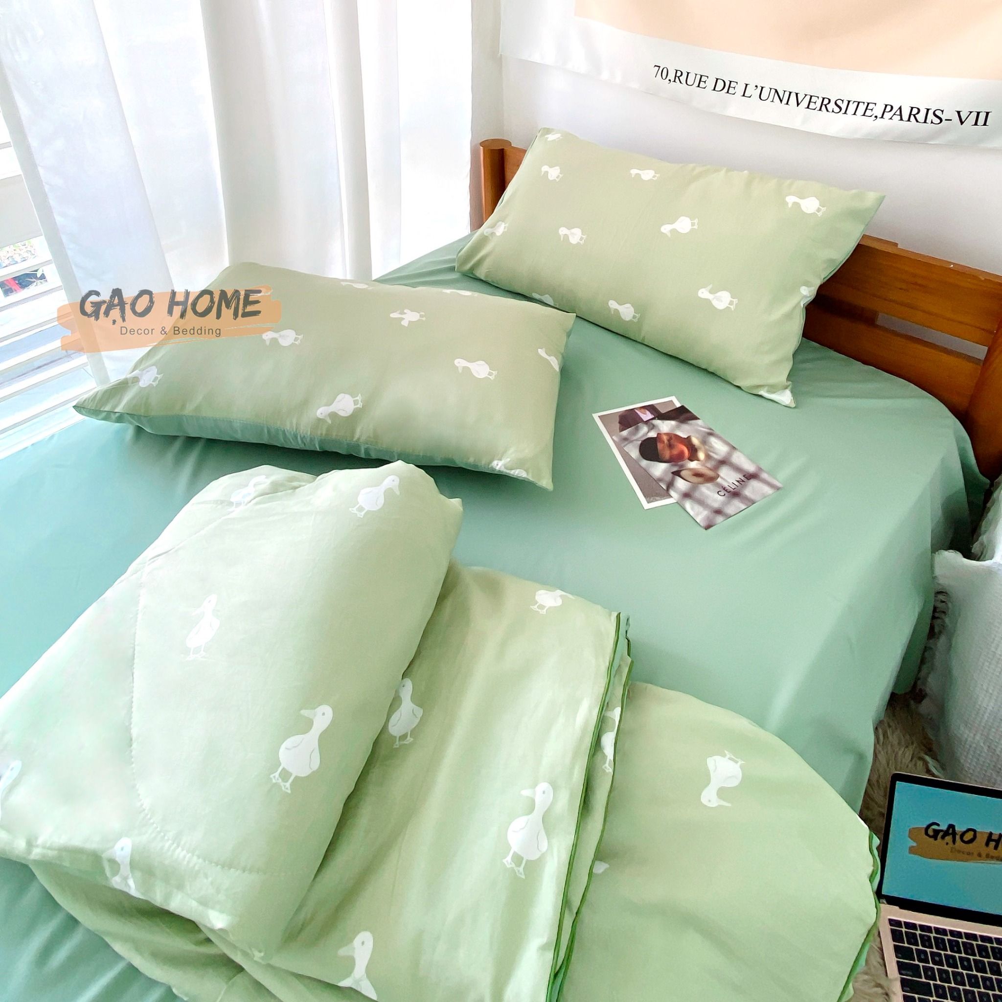 Cotton MỊN - BASIC CMB09