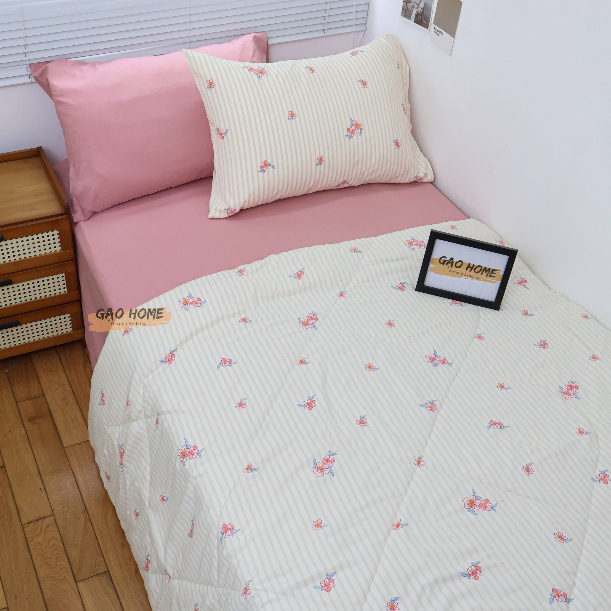 Cotton MỊN - BASIC CMB10