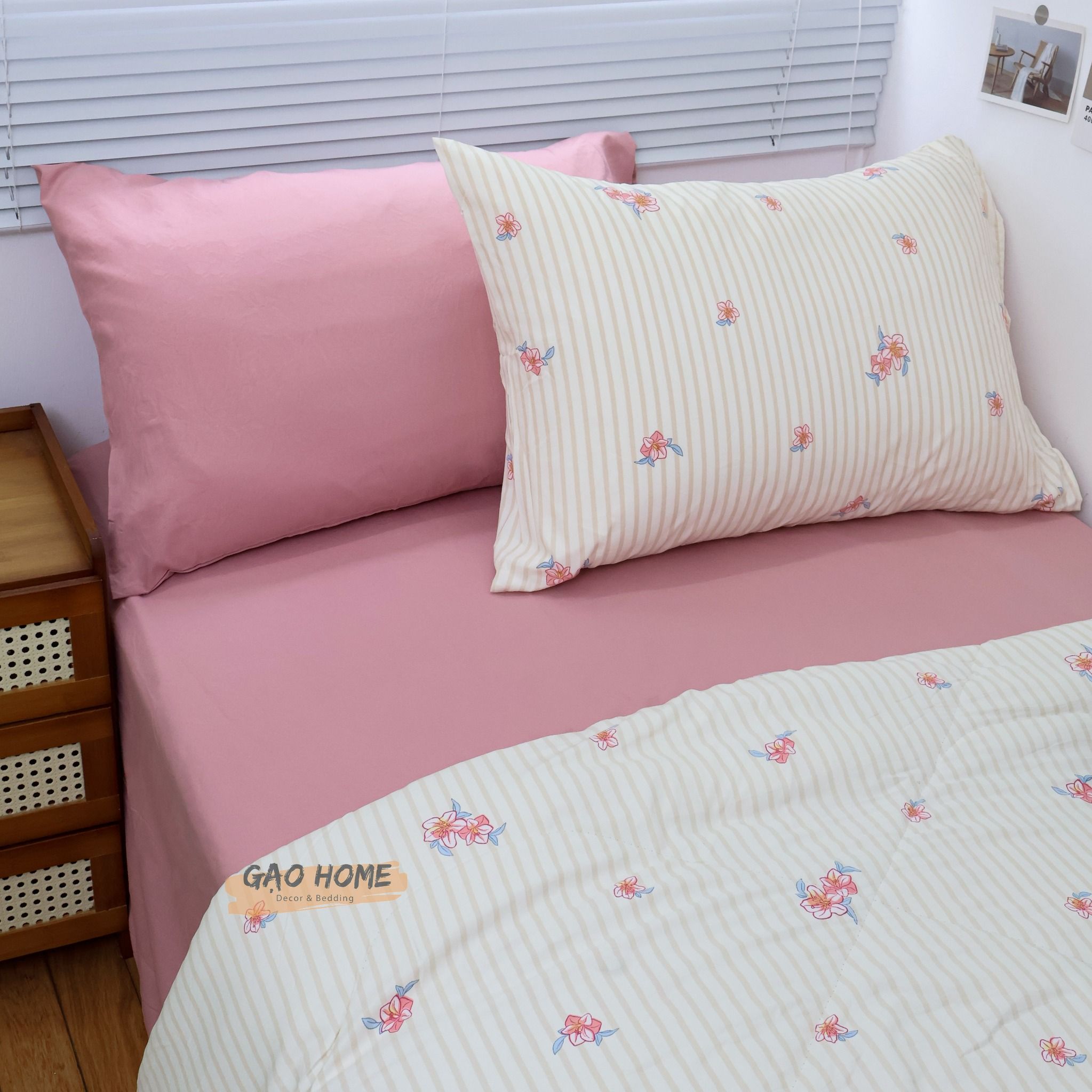 Cotton MỊN - BASIC CMB10