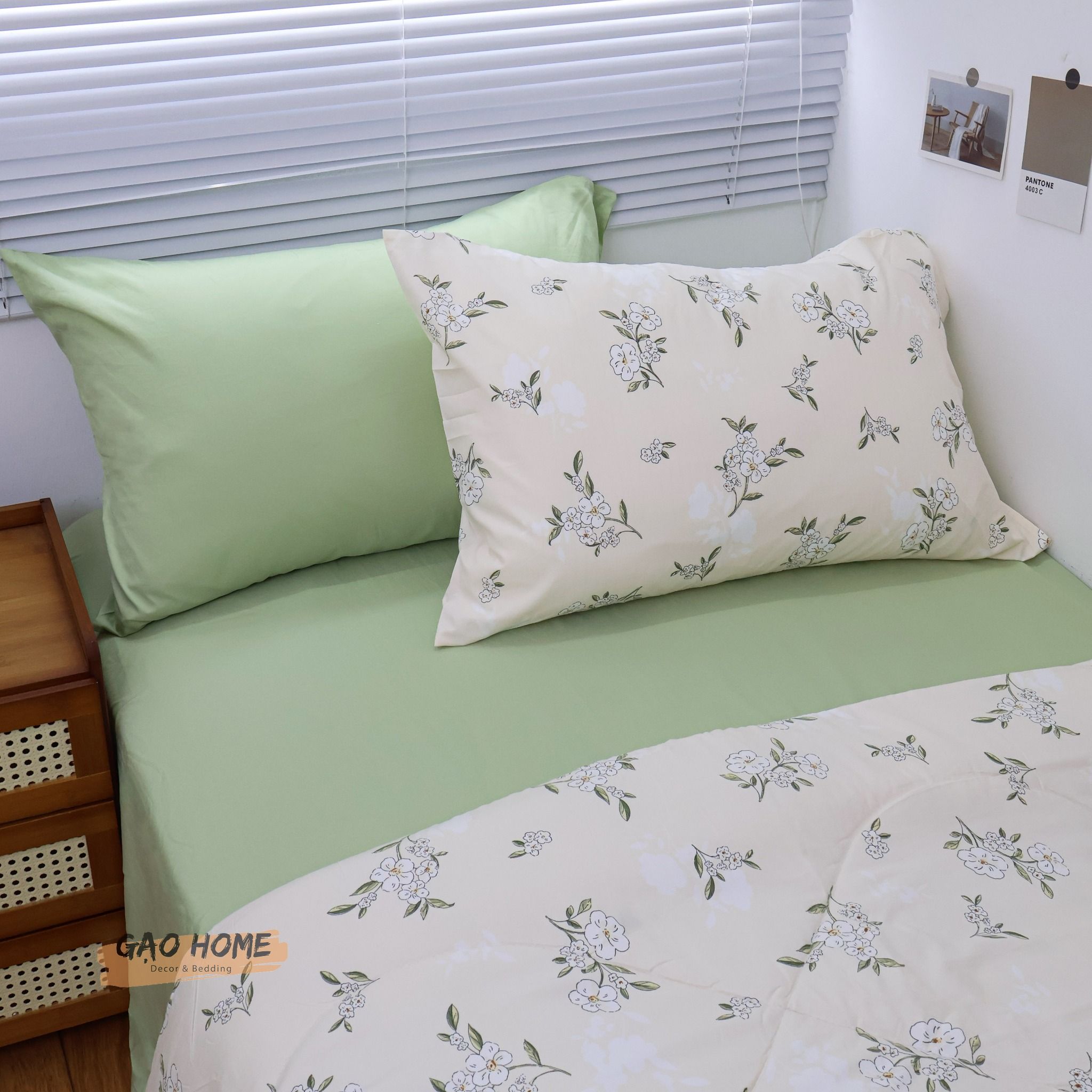 Cotton MỊN - BASIC CMB08