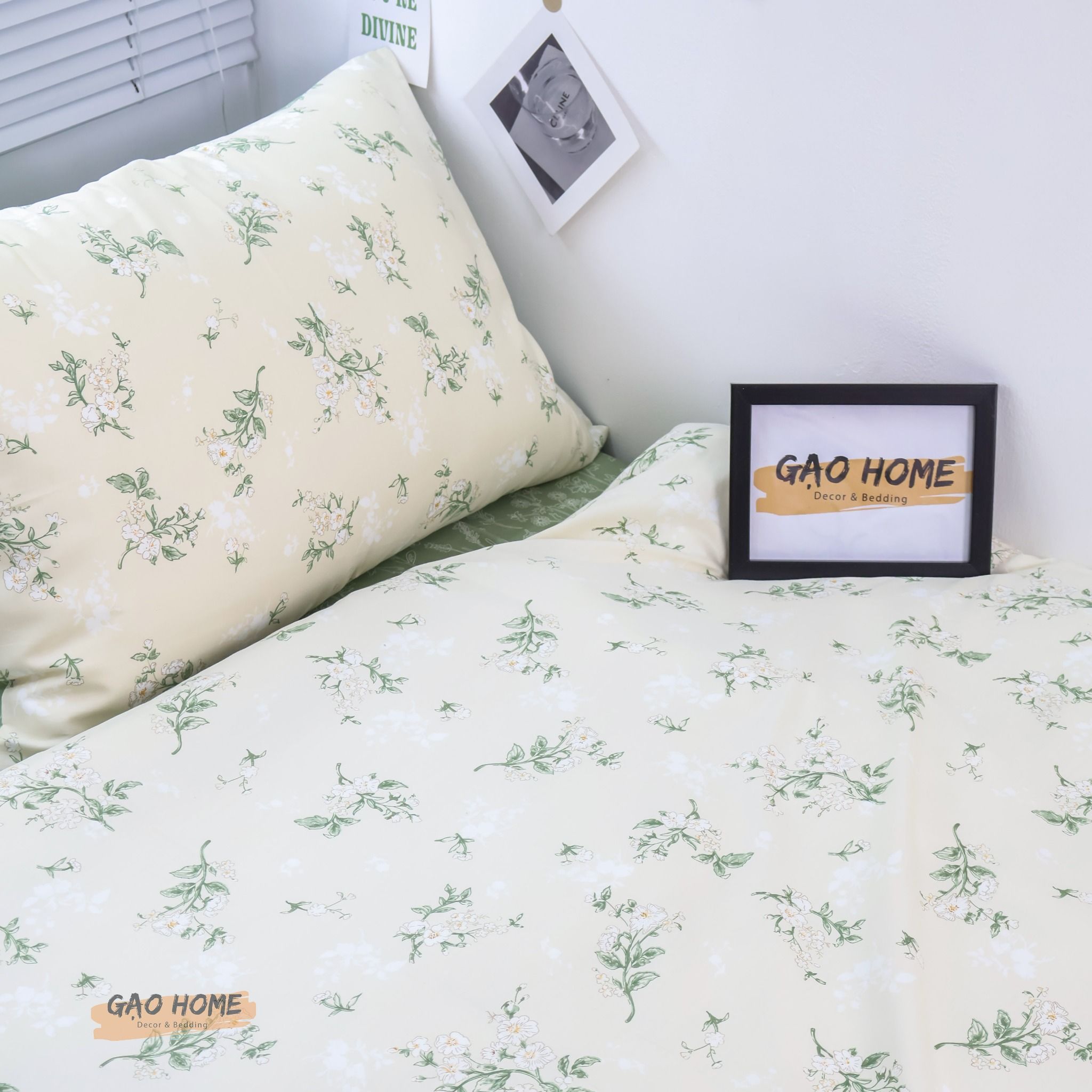 Cotton ORGANIC CO11