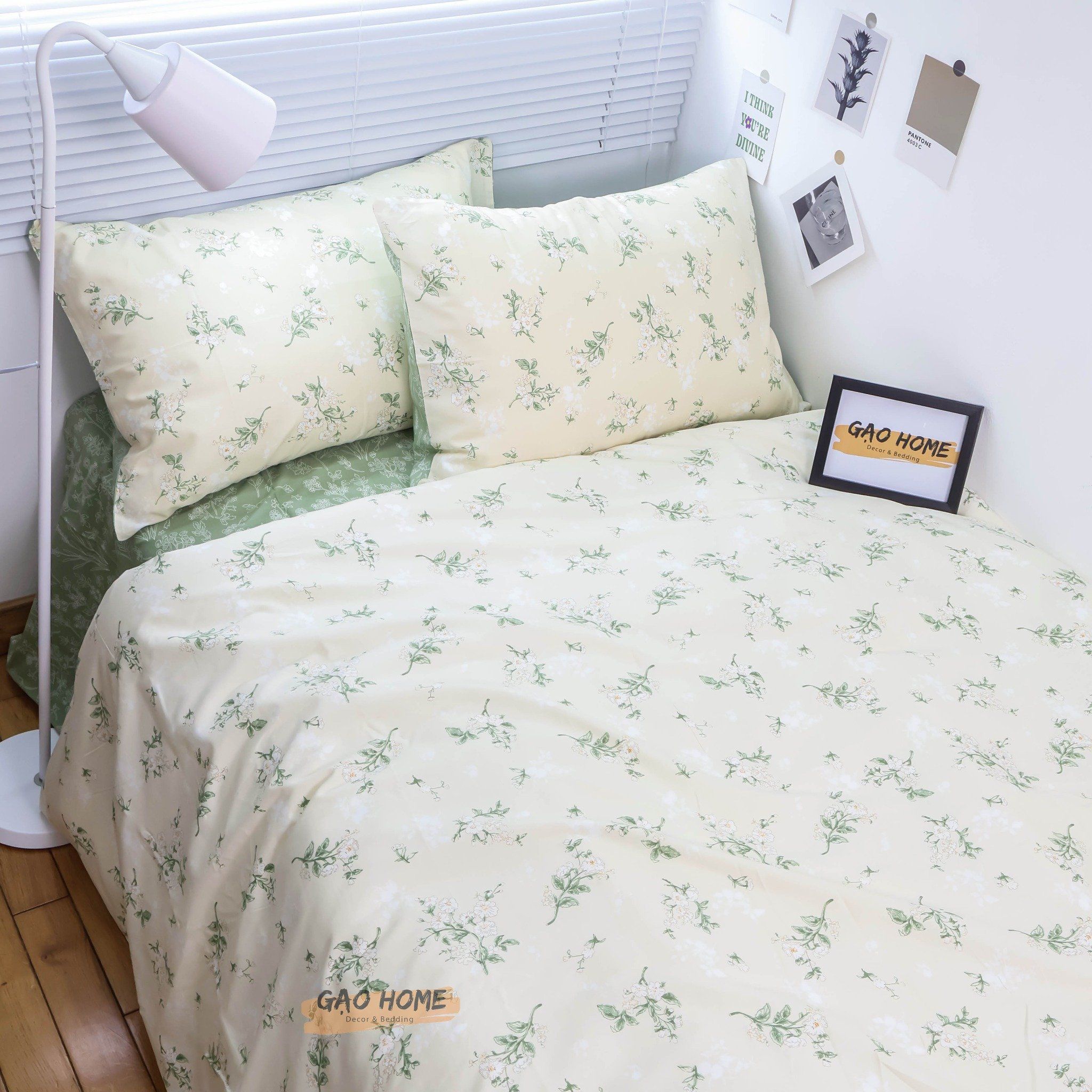 Cotton ORGANIC CO11