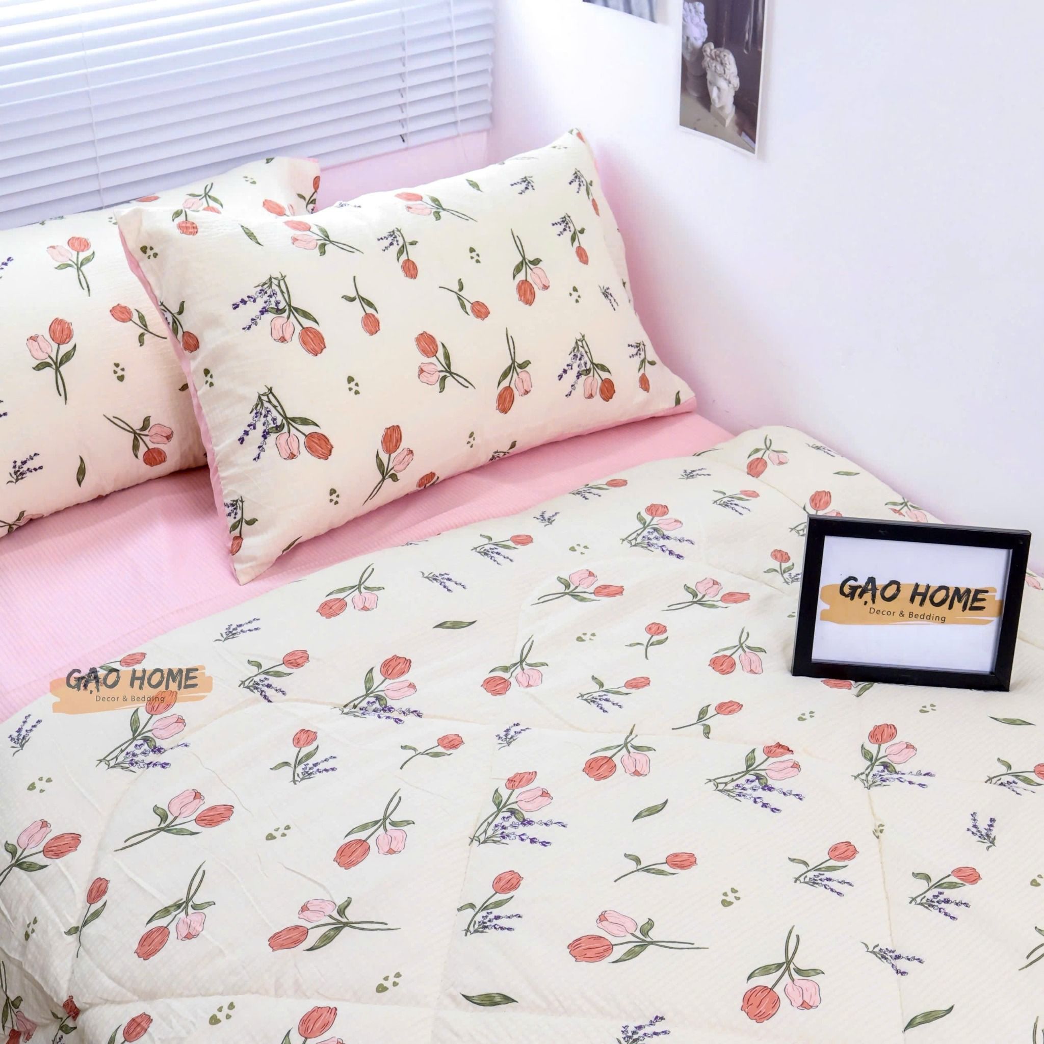 Cotton MỊN - BASIC CMB10