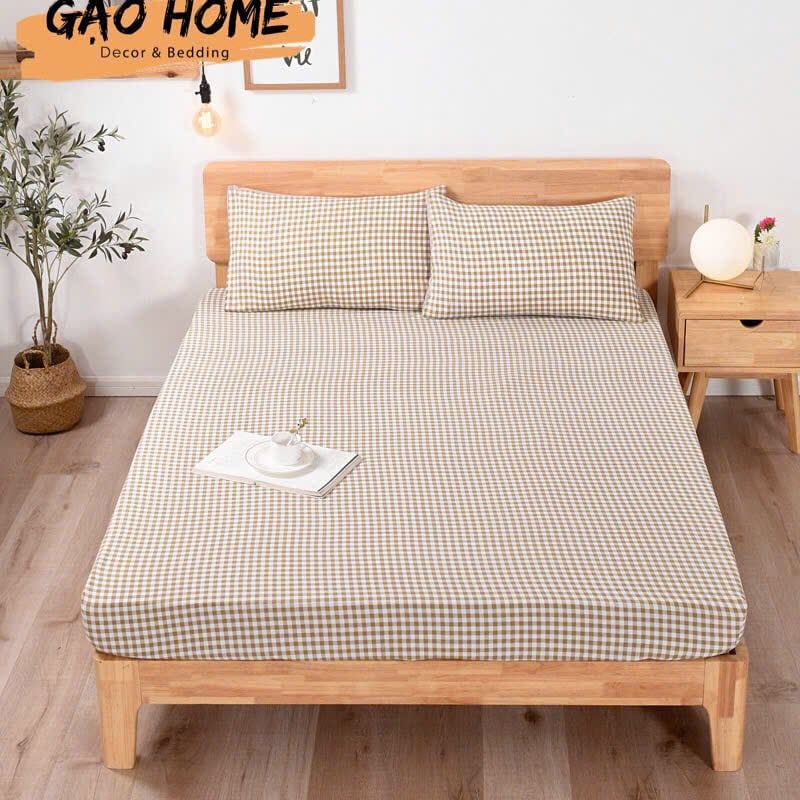 COTTON BASIC NEW KO CHĂN - TNKC21