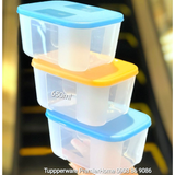  Set 3 Hộp Trữ Đông Tupperware Freezermate Colorful 650ML 