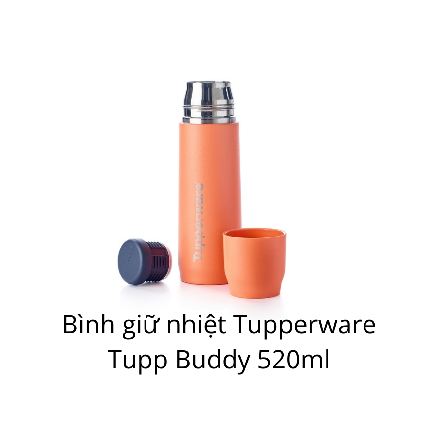  Bình giữ nhiệt Tupperware Tupp Buddy 520ml 