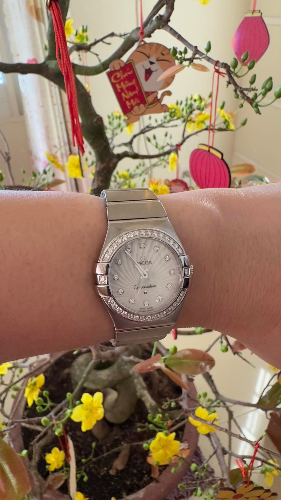 Omega Constellation 123.15.27.60.55.002 Watch 27mm