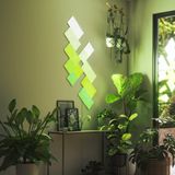  Nanoleaf Canvas 