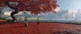 Đĩa Game Ghost of Tsushima Director's Cut PS5