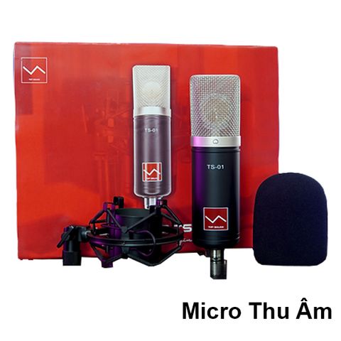  Micro Thu Âm TS01 