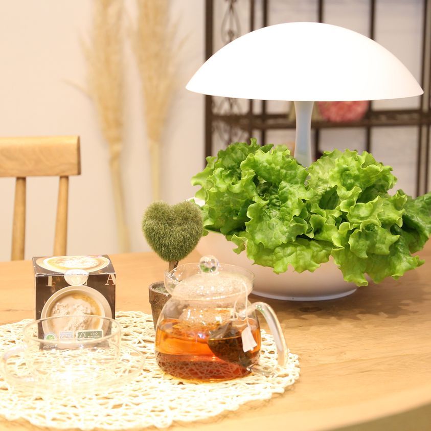 Đèn trồng cây Akarina OMA01