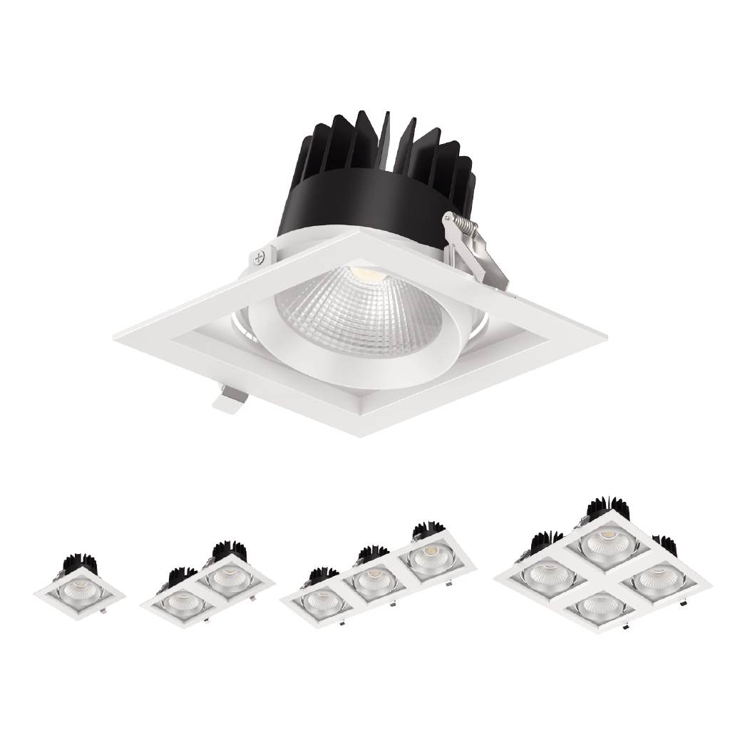 Đèn DOWNLIGHT MT500-009
