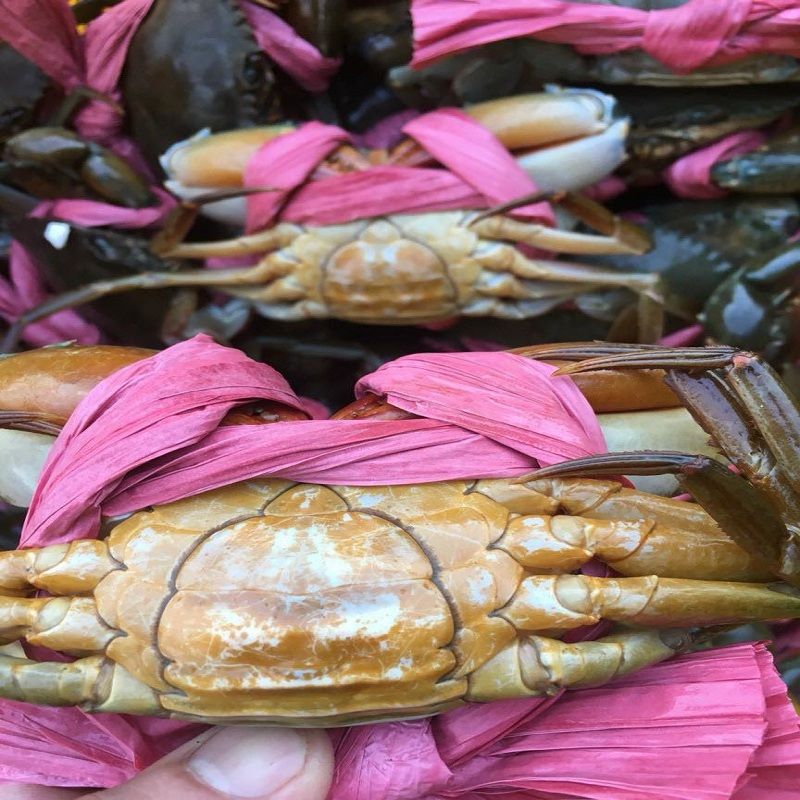 CUA YẾM VUÔNG