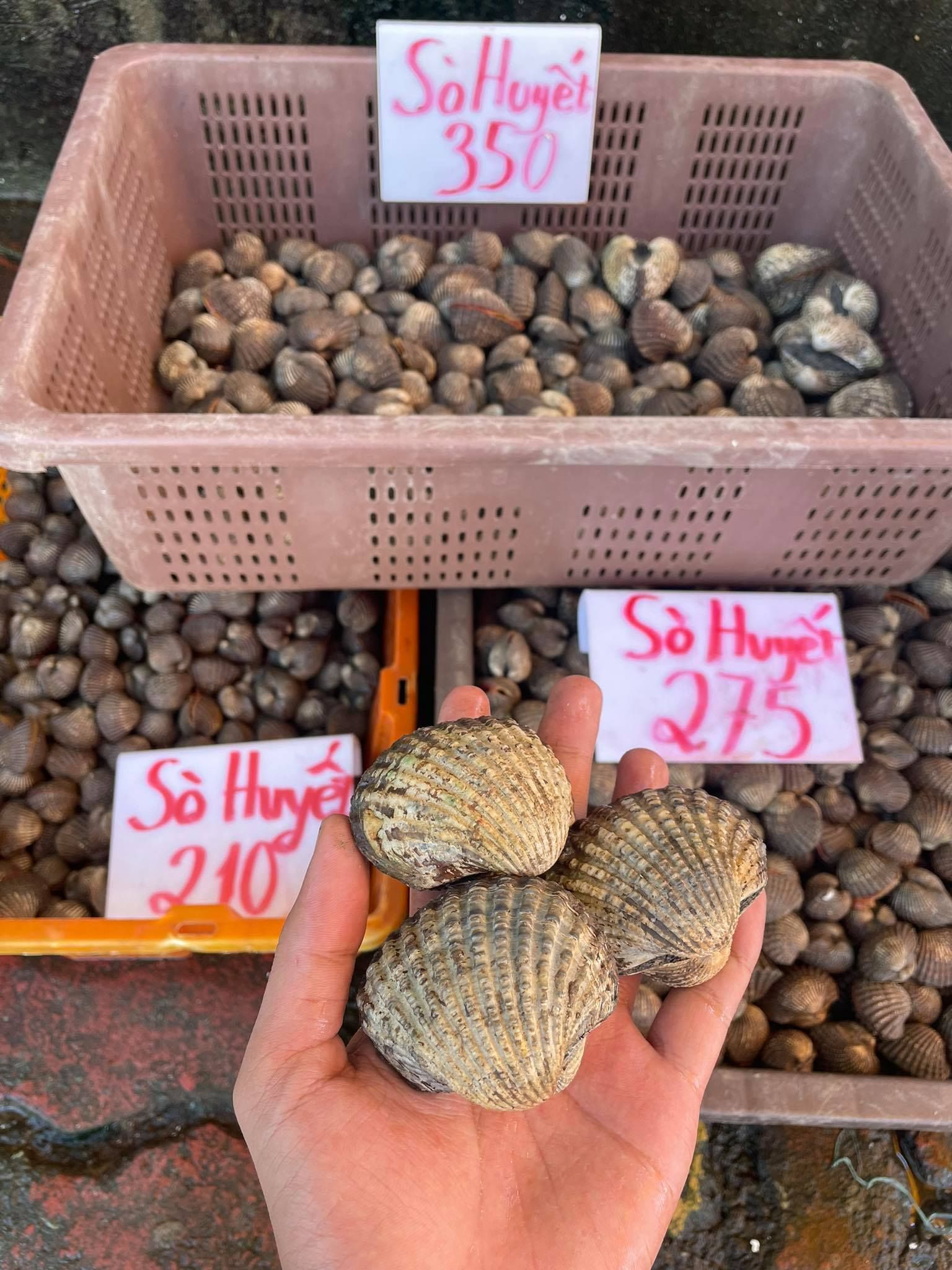 SÒ HUYẾT CỒ