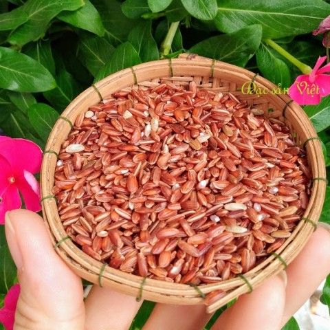 GẠO LỨT ĐỎ ORGANIC