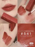 Fullbox Son Dior Addict Lip Tint Màu 541 Natural Sienna